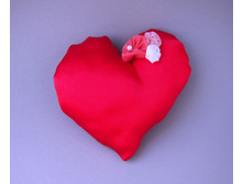 ������ - �������