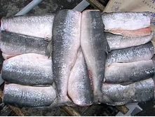 ������� �/�