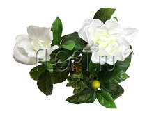 ���.����. �������� � ������������ �����. �21008. 30 ��. 576,64 ���.jpg