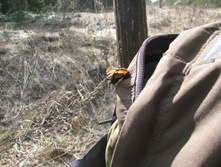 IMG 7585.jpg