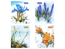 ������� 48�. �5 ������ ����������, ������� ���������, ������� 21,44.jpg