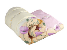 ������ ���������