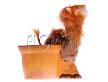 19.522.20 �������� �������. �10. 295,92 ���.jpg