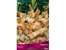 ��������� ���� 89,0