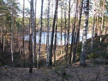 IMG 7607.jpg