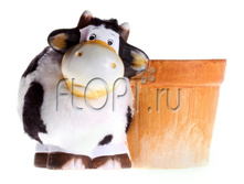 19.061.21 �������� ������. �12. 241,86 ���.jpg