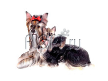 ������ ���������� ������ � �������, 33�19�21��. 706,63 ���.jpg