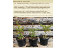 ����� ��������� 25-35�� 3� 600���.jpg