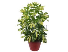 �������� ����� 13�50. 234,15 ���.jpg