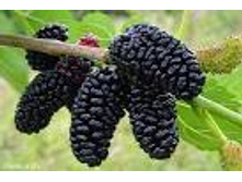 ��������� ������.jpg