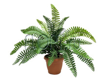 ���.����. ���������� � ����� �38315. 870,41 ���.jpg