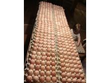 �������� ���������