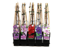 �������� ���� 14�60. 348,6 ���.jpg