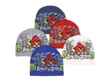 ���-006 ����: 95 �.