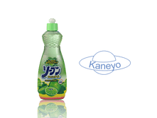 �������� ��� ����� ������ ������ � ������� Kaneyo ������ ���� 600 ��