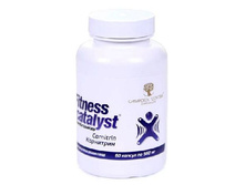 ���������� ��������� �������� ������ "���������"