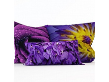 ������ �����.jpg