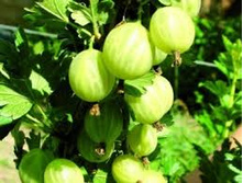 ��������� ����.jpg