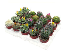 ������ �������� 8�10. 162,47 ���.jpg