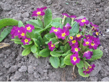 ���� 2014 105.jpg