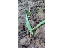 IMG 20160428 183712.jpg