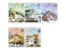 ������� 48�. �5 ������ ����� ����� �� ������� 17,18.jpg