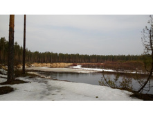 IMG 20160410 103338.jpg