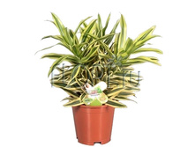 ������� ���� �� ����� 17�55. 641,9 ���.jpg