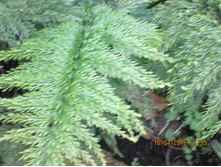 IMG 2840.JPG