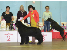 DSC 017902��.jpg