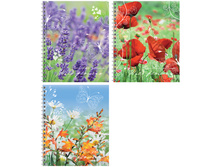 ������� 80�. �5 ������ �� ������ �����. ��������� ����, ��-��� 29,54.jpg