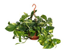 ���������� �������� ��������� 15�40. 399 ���.jpg