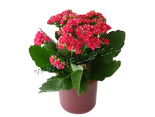 �������� ��������� ������� 10�22. 172,73 ���.jpg