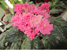 ������ ��-���� �������