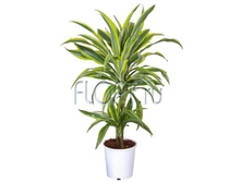 ������� ����� 2���. 17�70. 689,97 ���.jpg