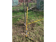 ������� �����"�������" (������������������� �����)