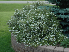 �������� ������������� �����: