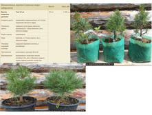 ������������ ������� (������� ����� ����������) 20 �� 2400���.jpg