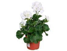 ���������� ��������� ������� 10�25. 143,48 ���.jpg