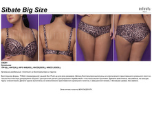 649,44 Sibate ��������� big size.jpg