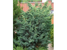 ������������ ���������� ������ (�9).jpg