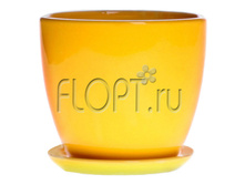 02.446 �20 ������ ������������. 526,6 ���.jpg