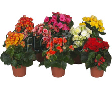 ������� ������� ���� 9�27. 134,4 ���.jpg