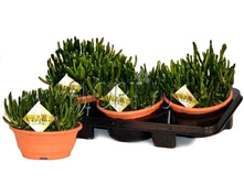 �������� ���� ��� 19�20. 488,38 ���.jpg