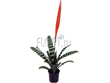 ������� ��������� 10�55. 284,55 ���.jpg