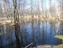IMG 7544.jpg