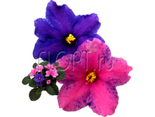 ������ ������� �������� 12�20. 158,55 ���.jpg