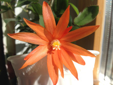 �������������