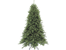 ������ ����� ����� �������