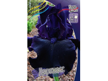 91,55���. ���� ���������� ��������(�������� ���� �� 2 ��., ����������� ����� 1��.).jpg